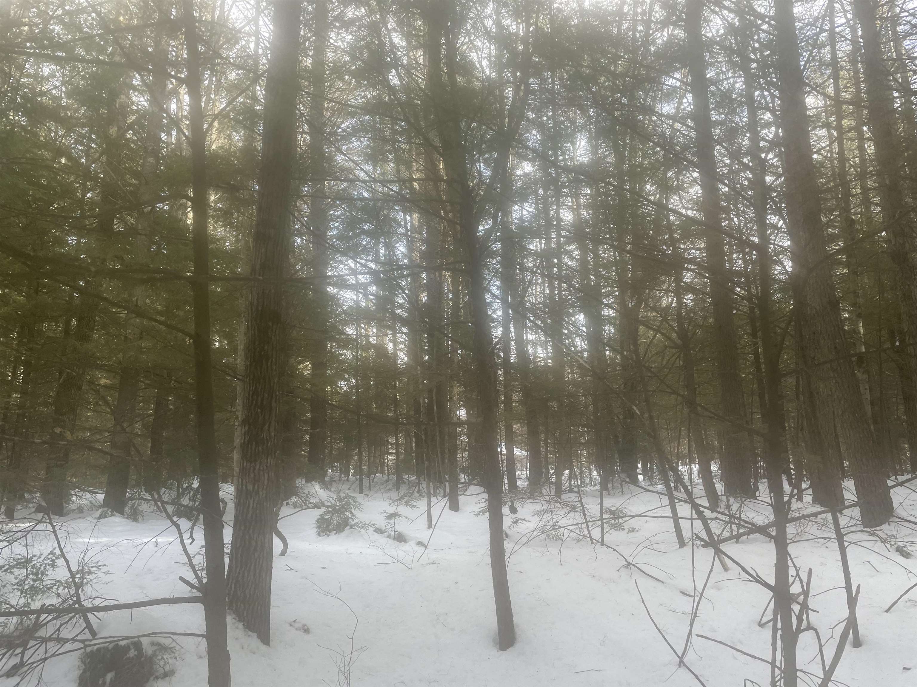 68-00 Gilman Valley Road Tamworth, NH 03814 - Photo 49 of 55