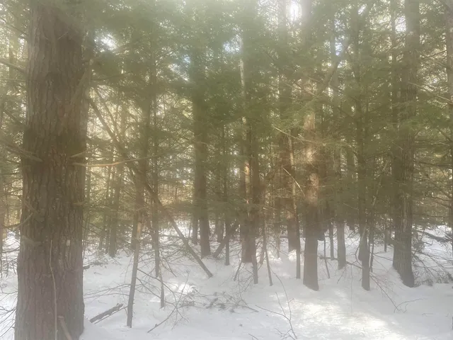 $299,000 | 68-00 Gilman Valley Road, Tamworth, NH 03814