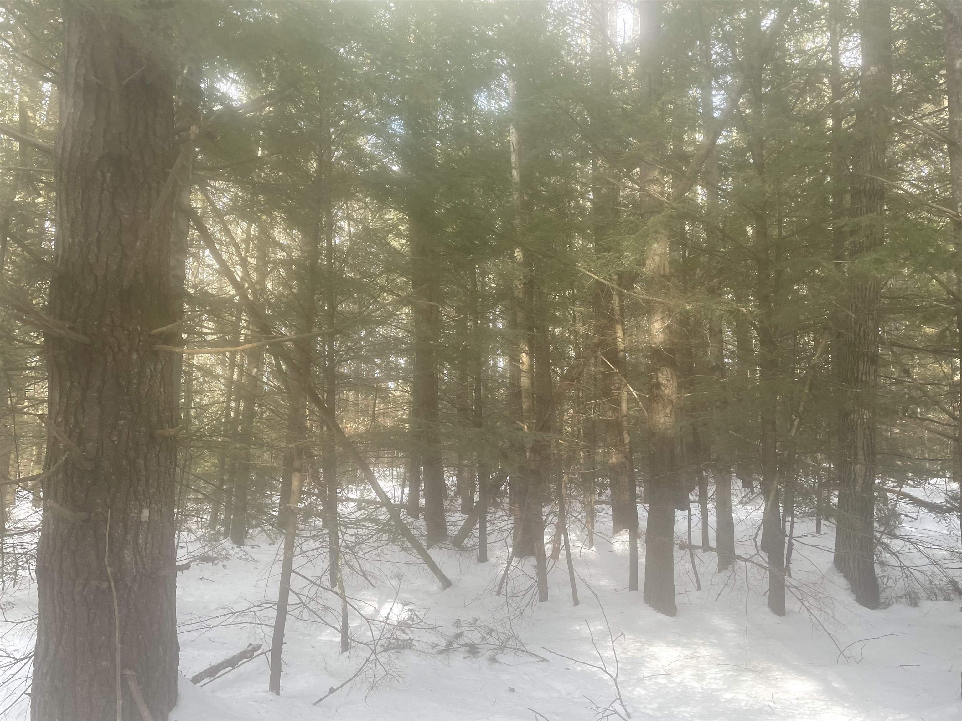 68-00 Gilman Valley Road Tamworth, NH 03814 - Photo 50 of 55