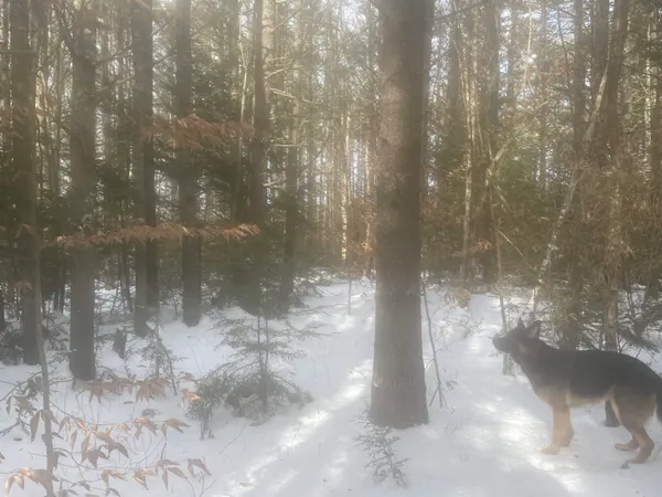 $299,000 | 68-00 Gilman Valley Road, Tamworth, NH 03814