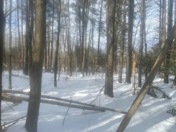 $299,000 | 68-00 Gilman Valley Road, Tamworth, NH 03814