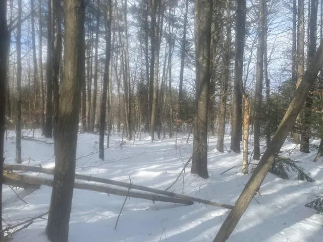 $299,000 | 68-00 Gilman Valley Road, Tamworth, NH 03814