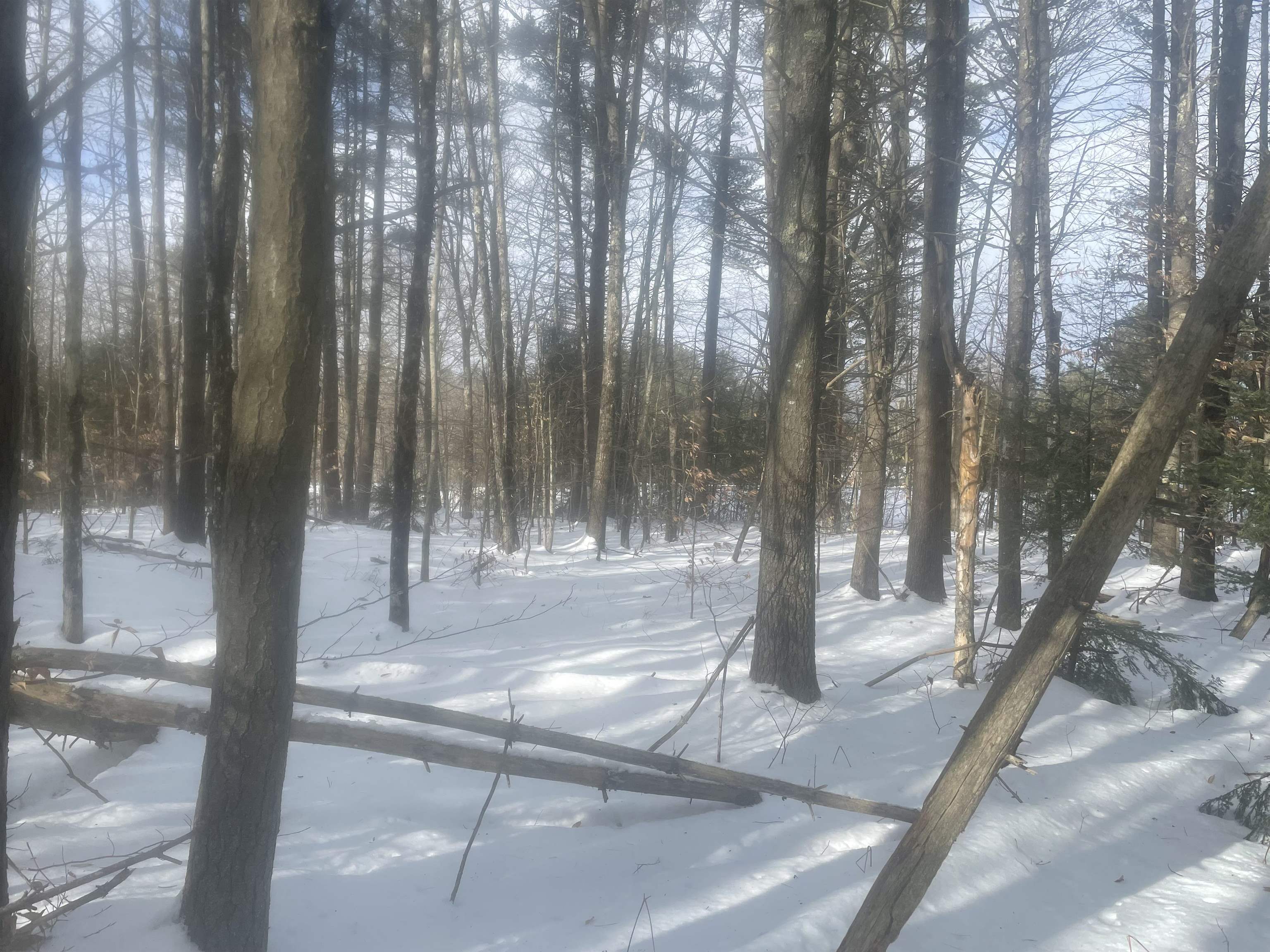 68-00 Gilman Valley Road Tamworth, NH 03814 - Photo 52 of 55