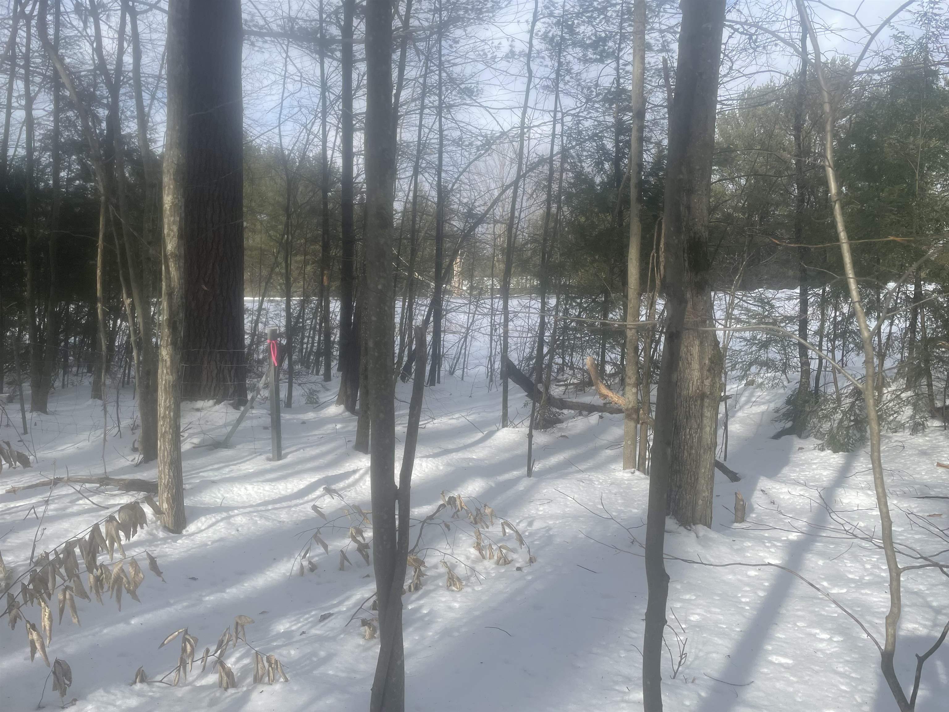 68-00 Gilman Valley Road Tamworth, NH 03814 - Photo 53 of 55