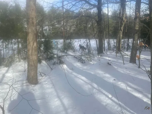 $299,000 | 68-00 Gilman Valley Road, Tamworth, NH 03814