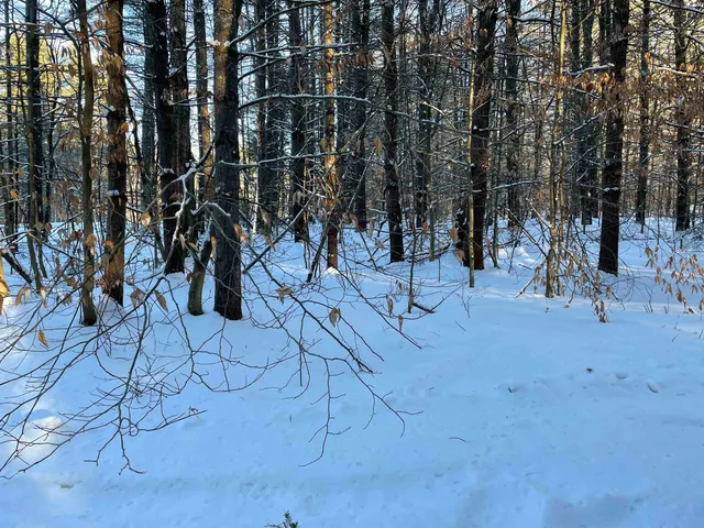 $299,000 | 68-00 Gilman Valley Road, Tamworth, NH 03814