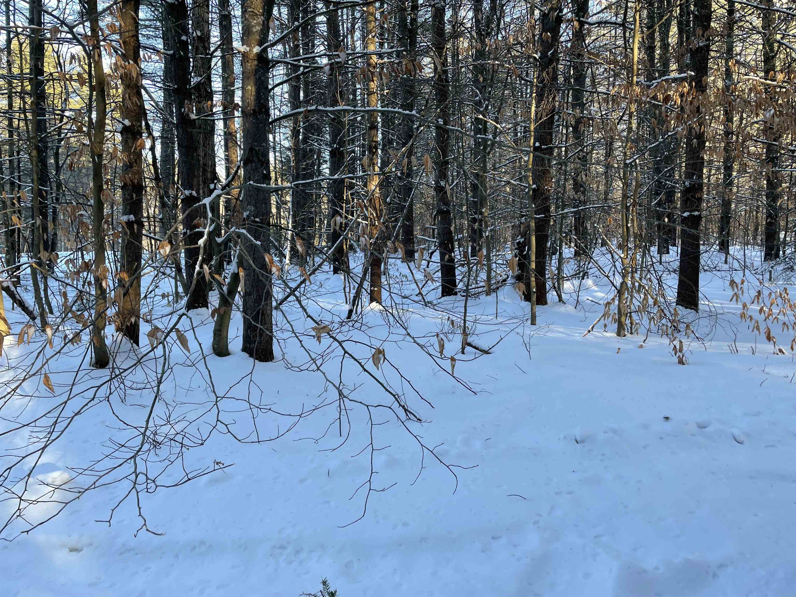 68-00 Gilman Valley Road Tamworth, NH 03814 - Photo 6 of 55