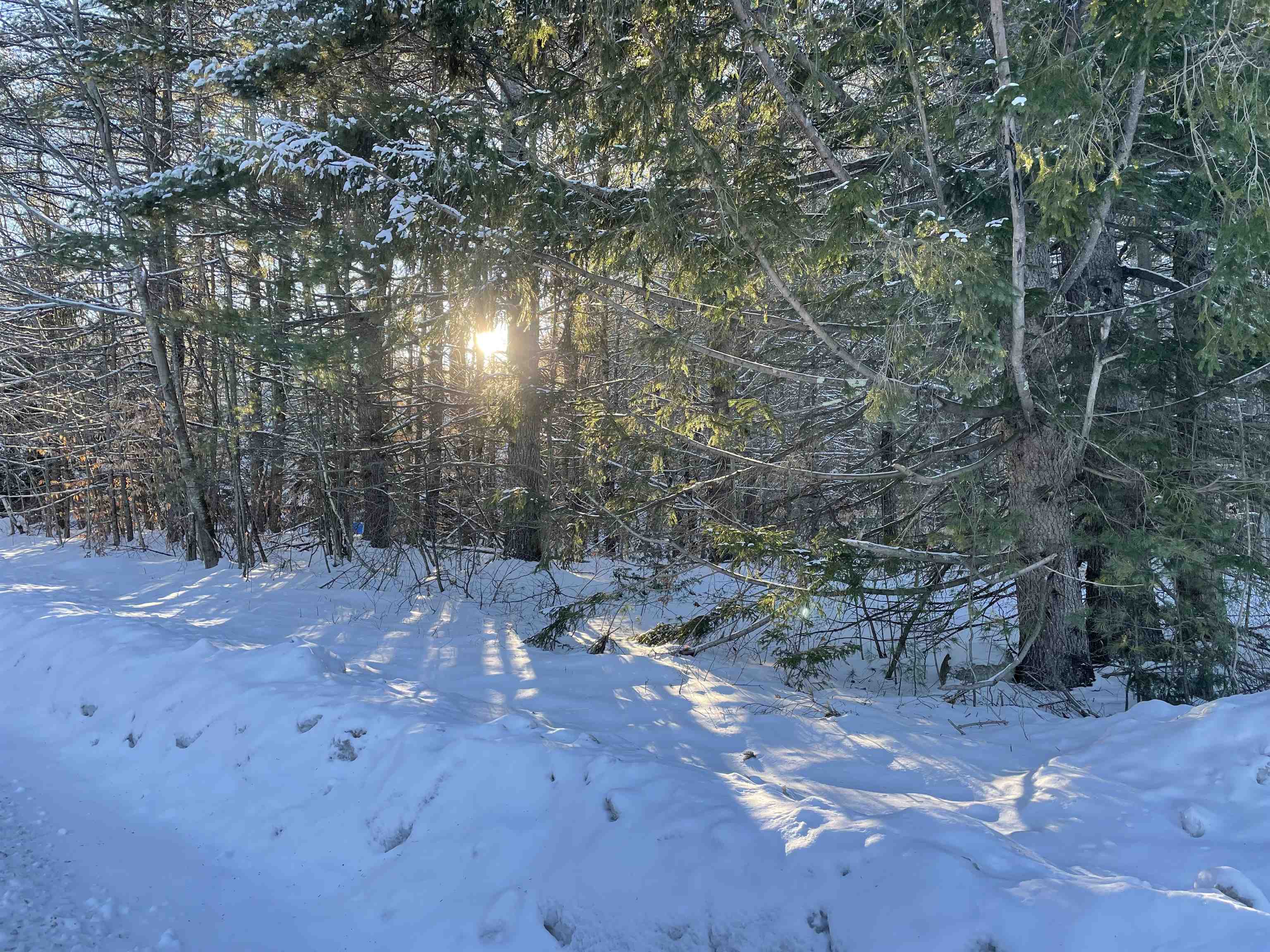 68-00 Gilman Valley Road Tamworth, NH 03814 - Photo 8 of 55