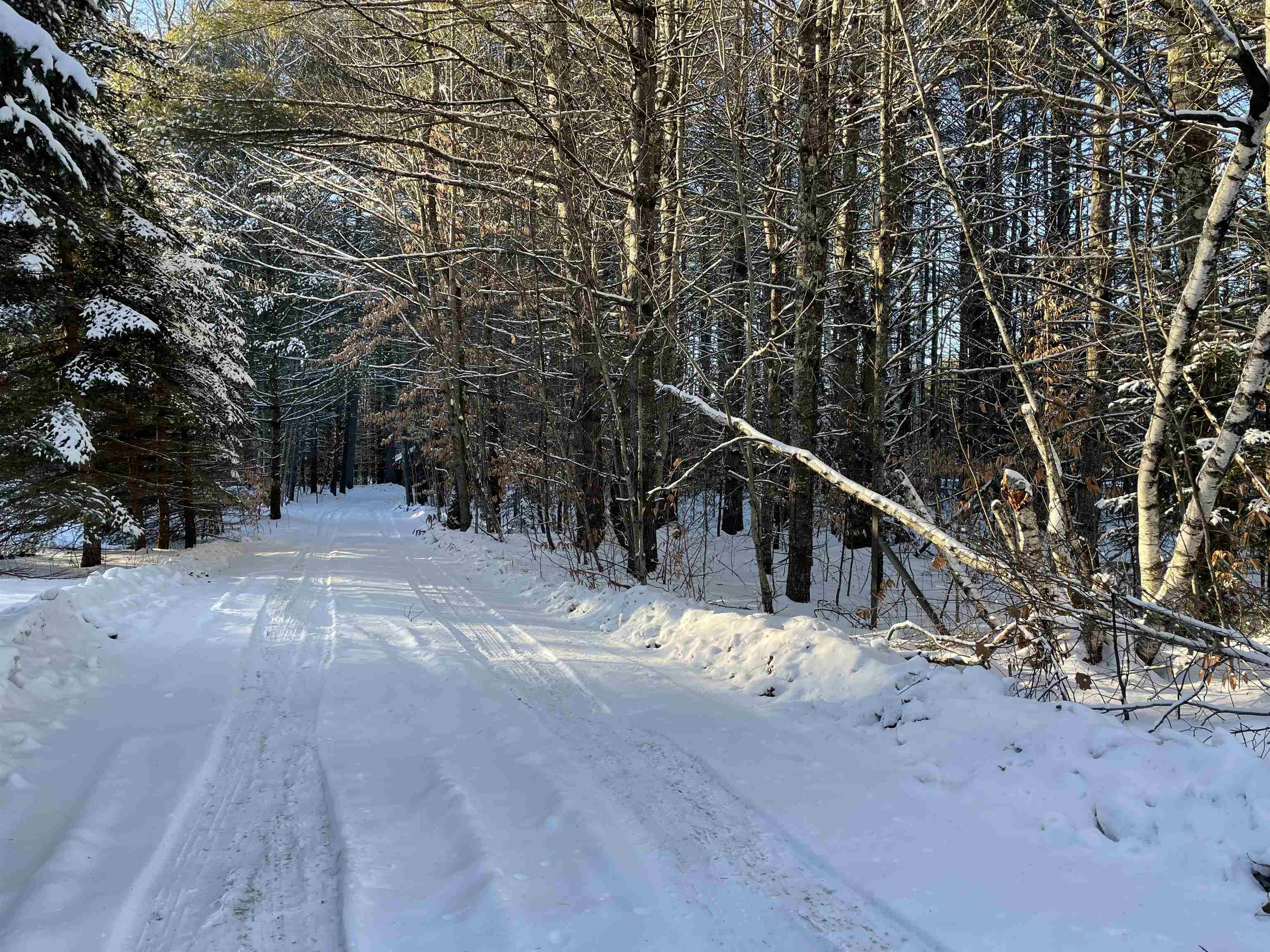 68-00 Gilman Valley Road Tamworth, NH 03814 - Photo 9 of 55