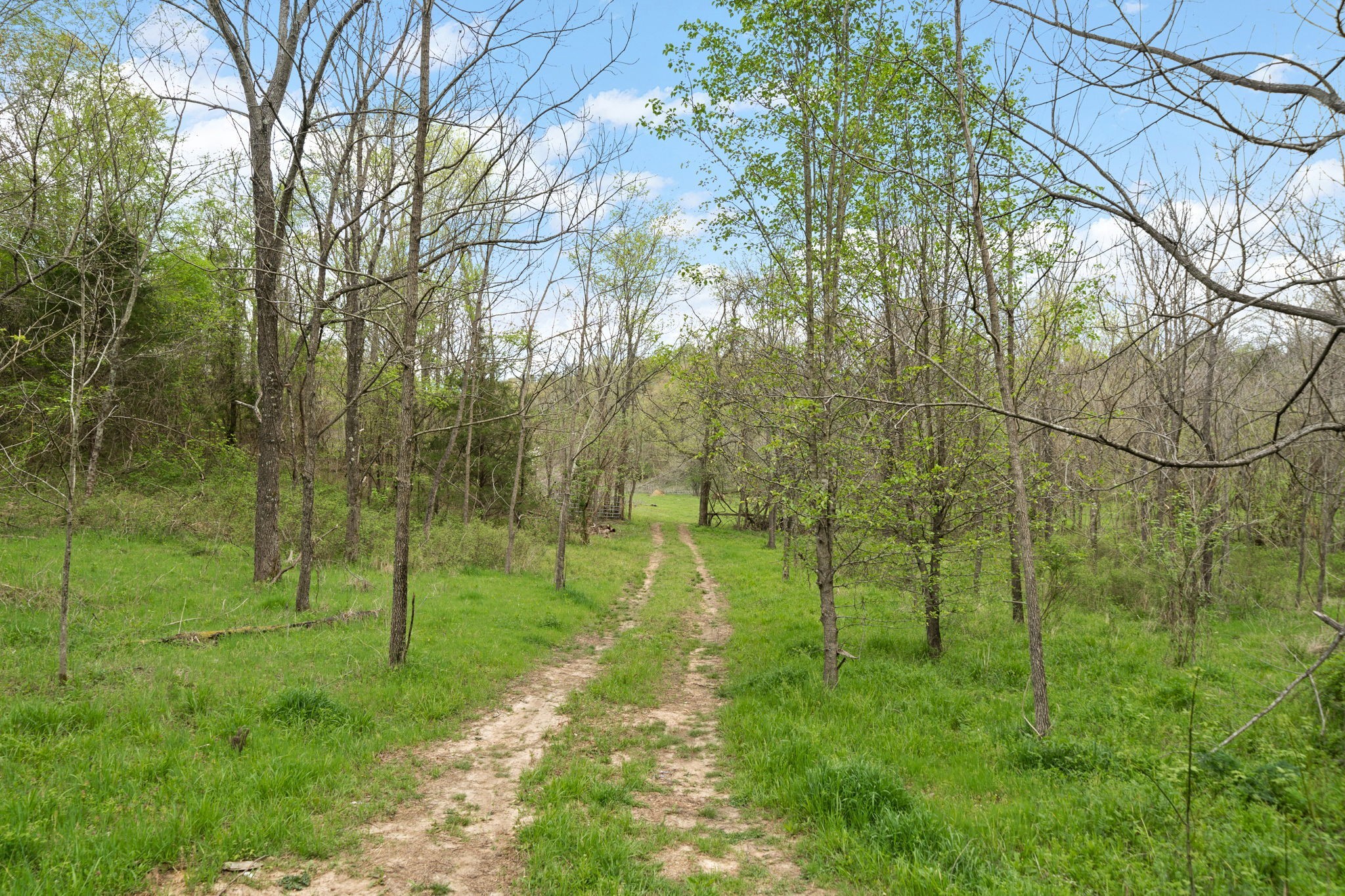 0 West Dry Hollow Road West Dickson, TN 37055 - Photo 1 of 16 Gallery Image 1