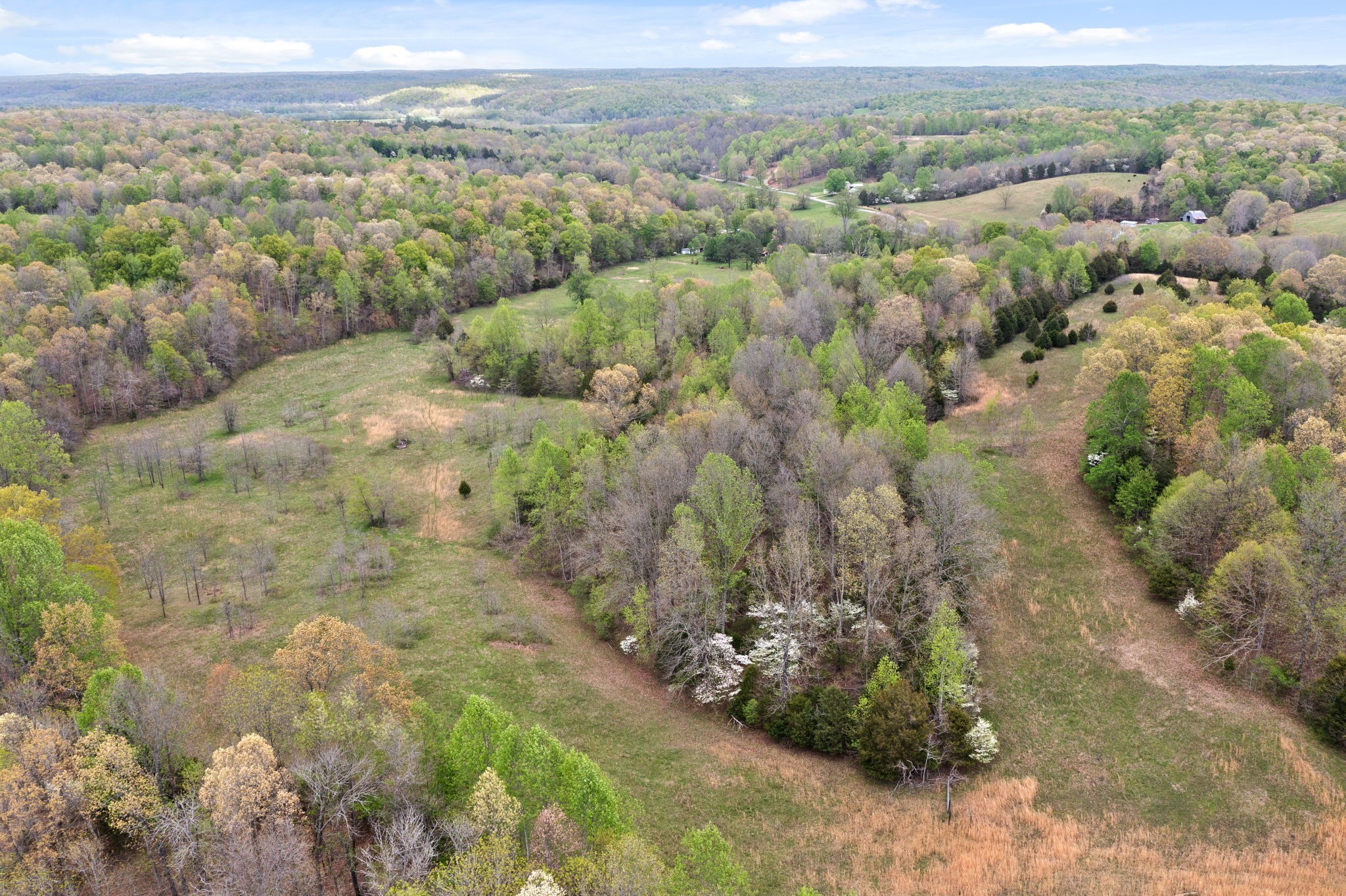 0 West Dry Hollow Road West Dickson, TN 37055 - Photo 3 of 16 Gallery Image 3