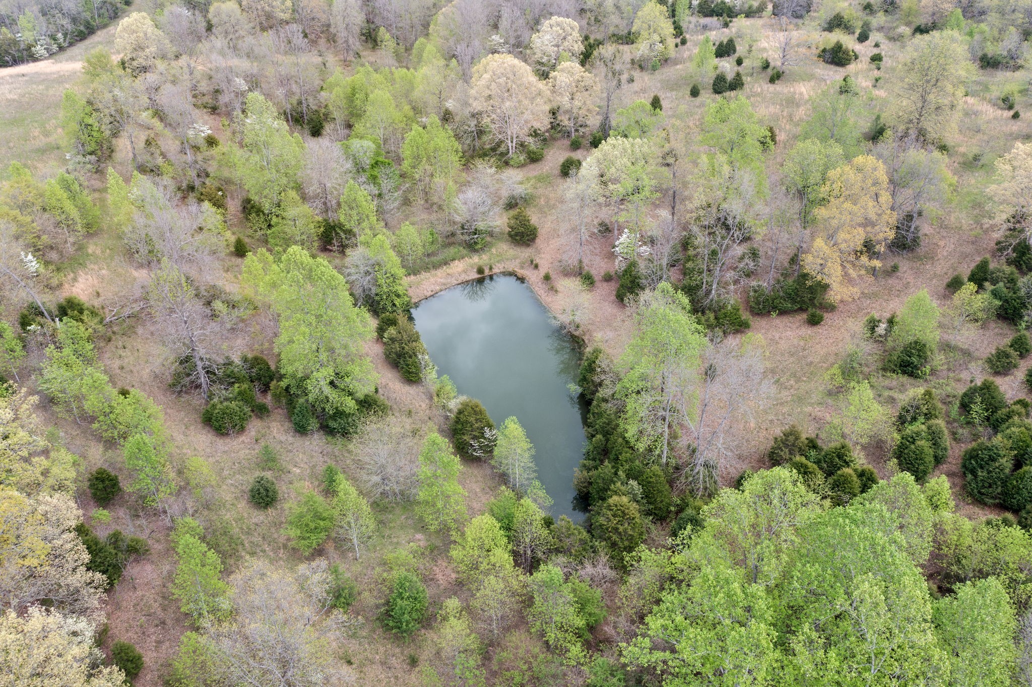 0 West Dry Hollow Road West Dickson, TN 37055 - Photo 5 of 16 Gallery Image 5