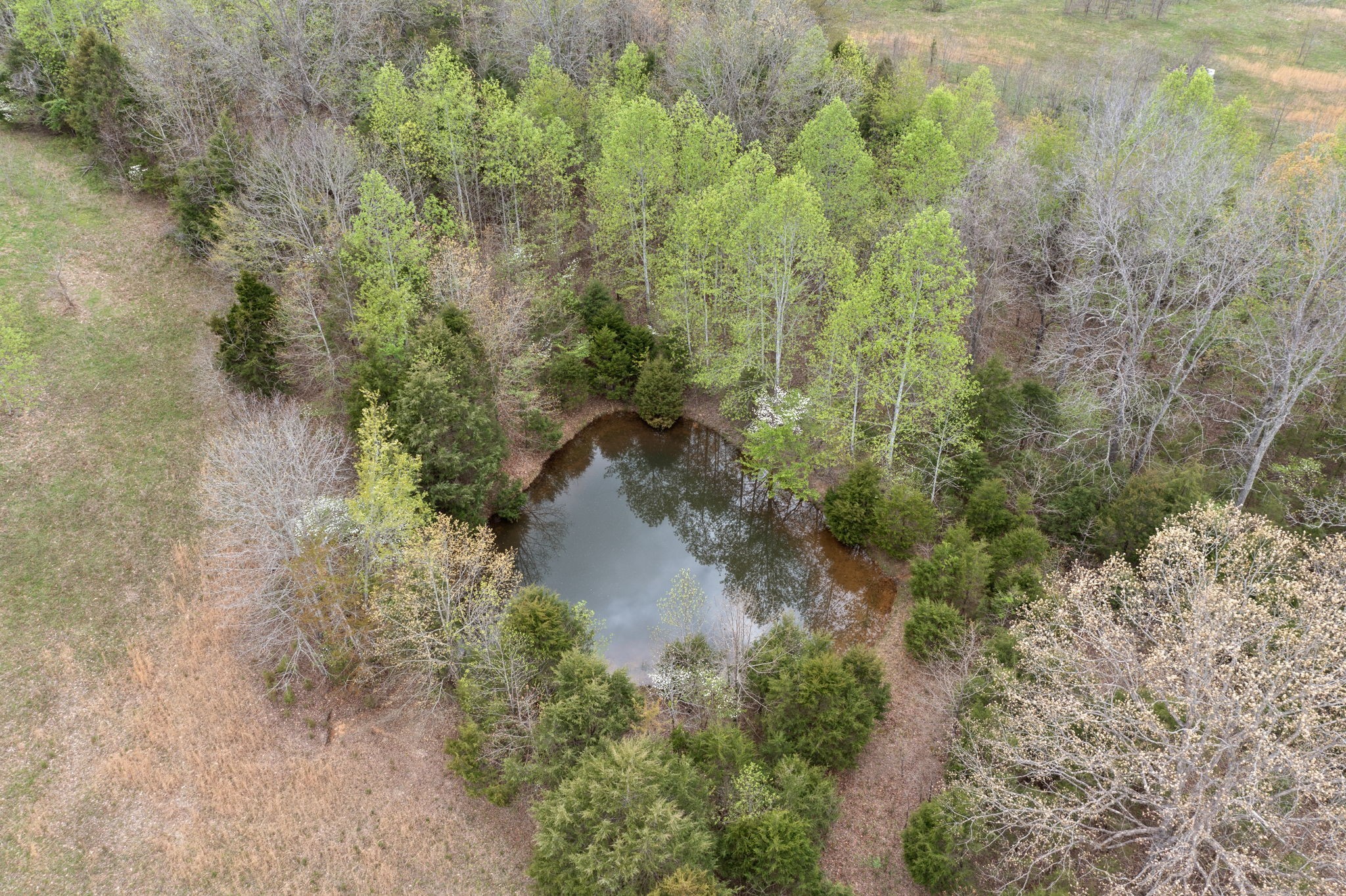 0 West Dry Hollow Road West Dickson, TN 37055 - Photo 8 of 16 Gallery Image 8