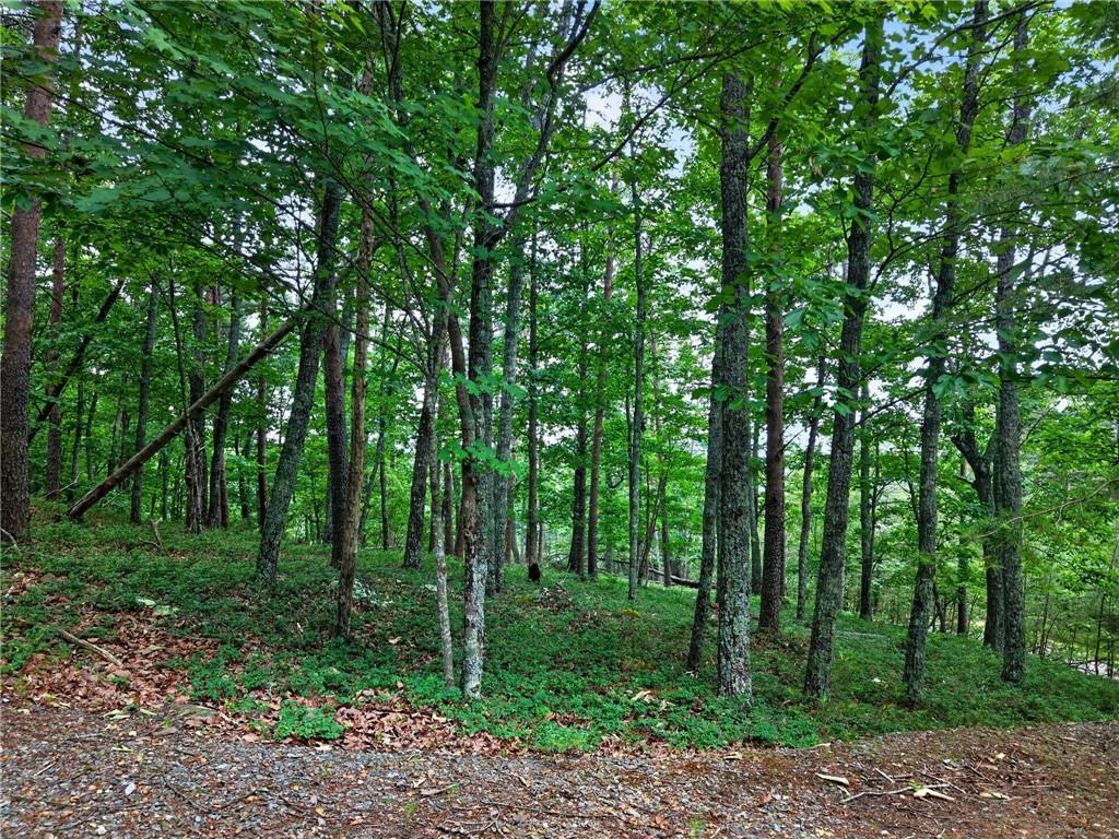 0 Ridgeside Court Jasper, GA 30143 - Photo 21 of 22 a view of outdoor space and green space