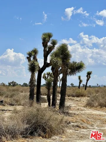 $150,000 | 75-th 75-th Street, Pearblossom, CA 93553