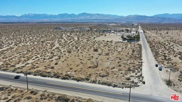 a view of a room with a large tree