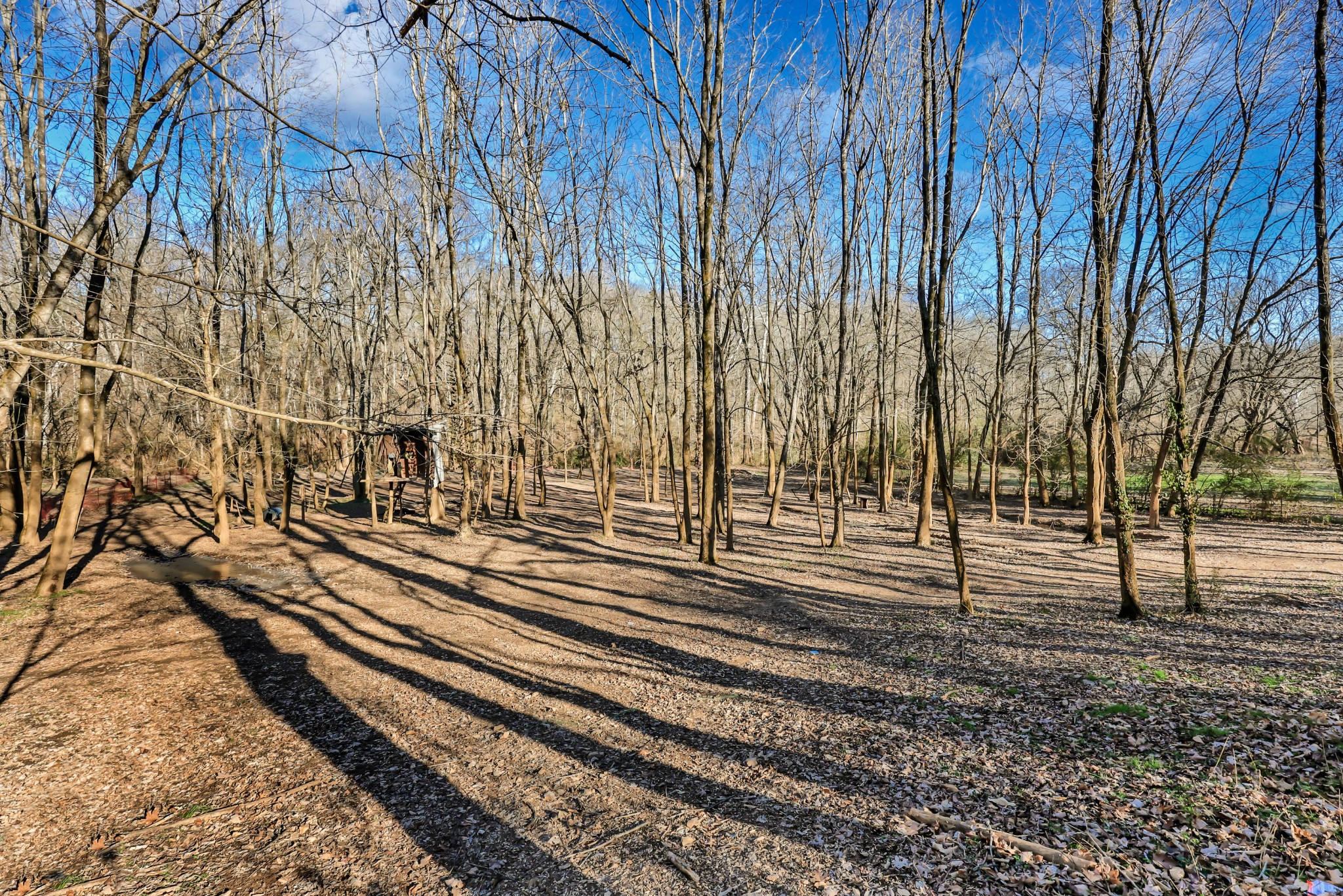 1440 McClardy Road Clarksville, TN 37042 - Photo 30 of 33 a view of a yard with wooden fence