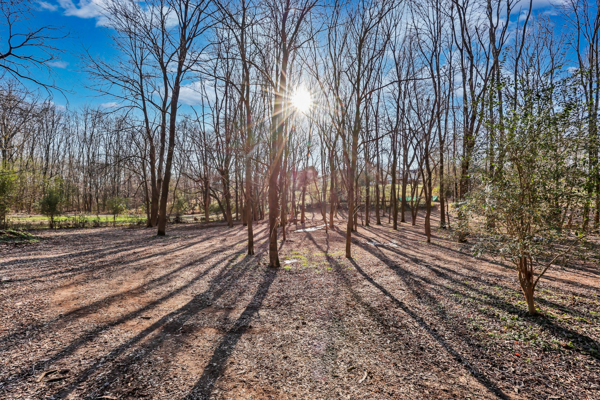 1440 McClardy Road Clarksville, TN 37042 - Photo 31 of 33 a view of a yard with wooden fence