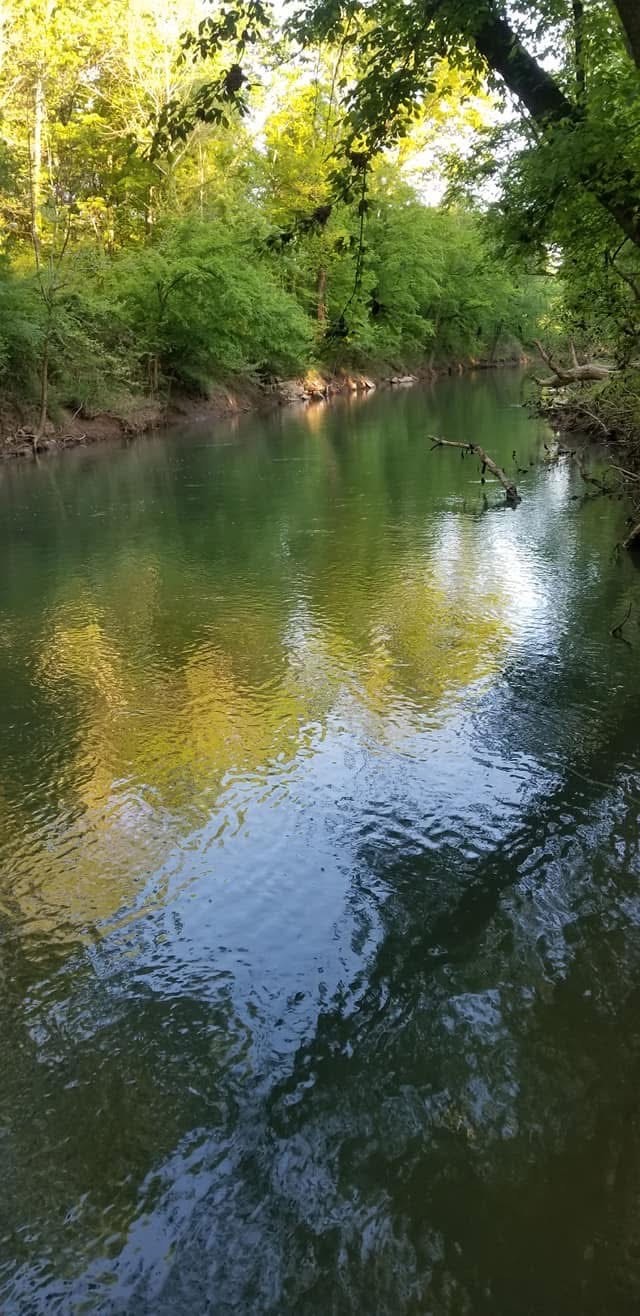 1440 McClardy Road Clarksville, TN 37042 - Photo 33 of 33 a view of an ocean view