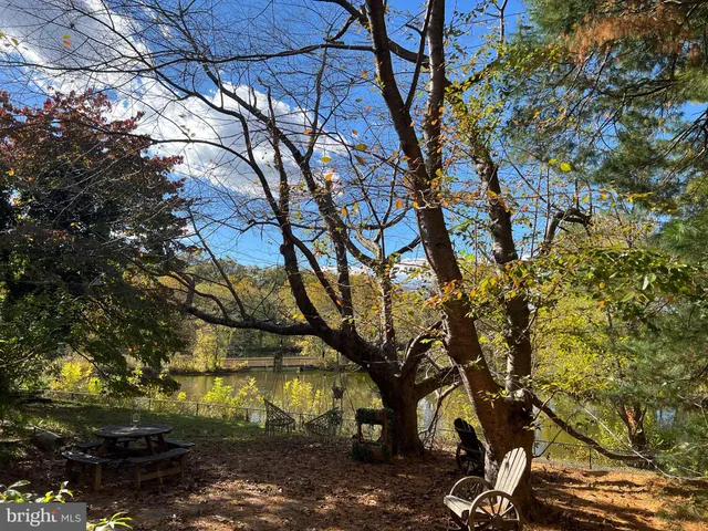 a view of tree in between the two trees