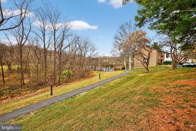 a view of yard with trees