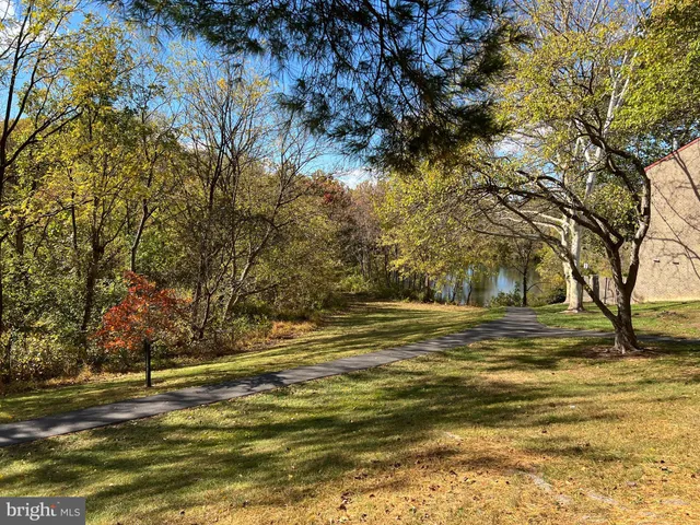 a view of yard with large trees