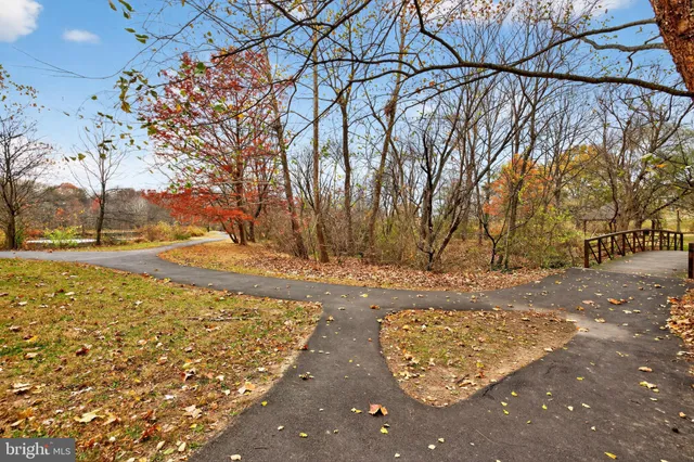 a view of yard with large trees