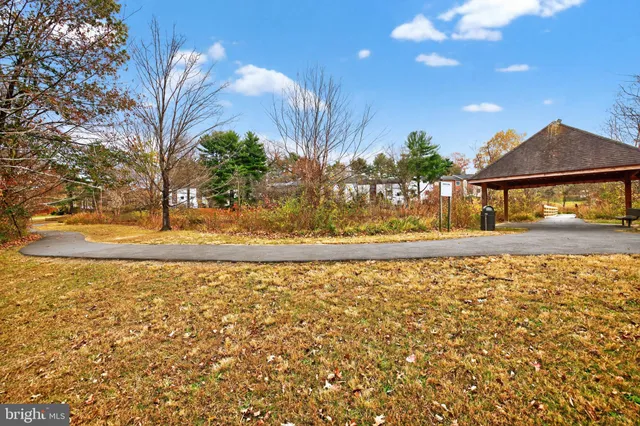 a view of yard with large tree