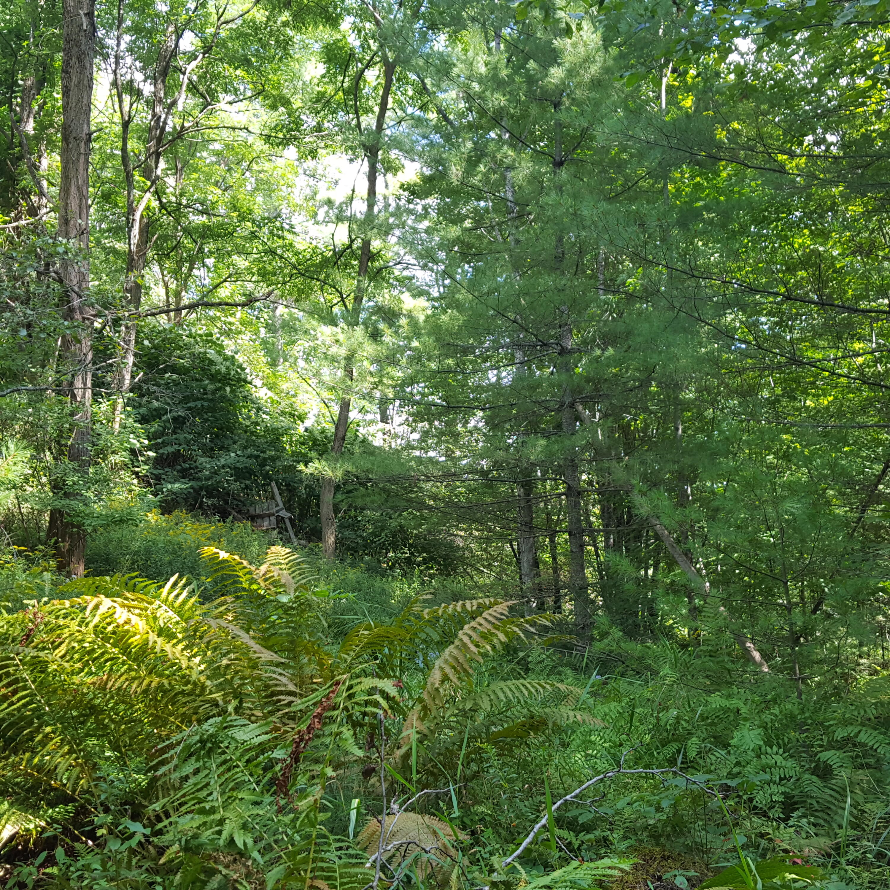 633 Portland Road Bridgton, ME 04009 - Photo 36 of 47 20210903_122245