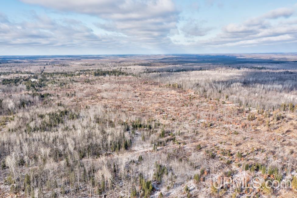 Jimtown Road Stephenson, MI 49887 - Photo 14 of 16