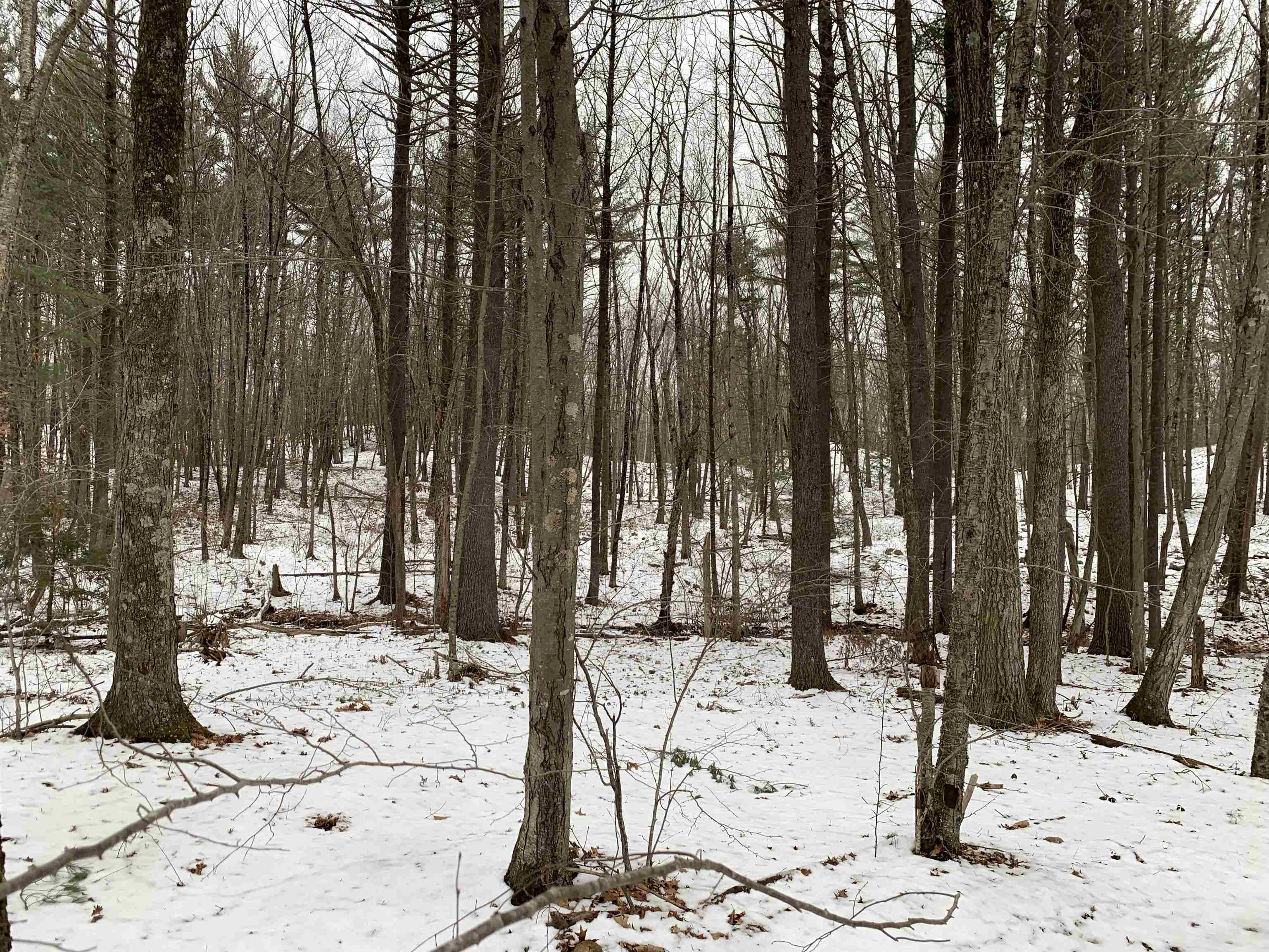 0 Brandy Brow Road Haverhill, MA 01830 - Photo 3 of 8 Gallery Image 3