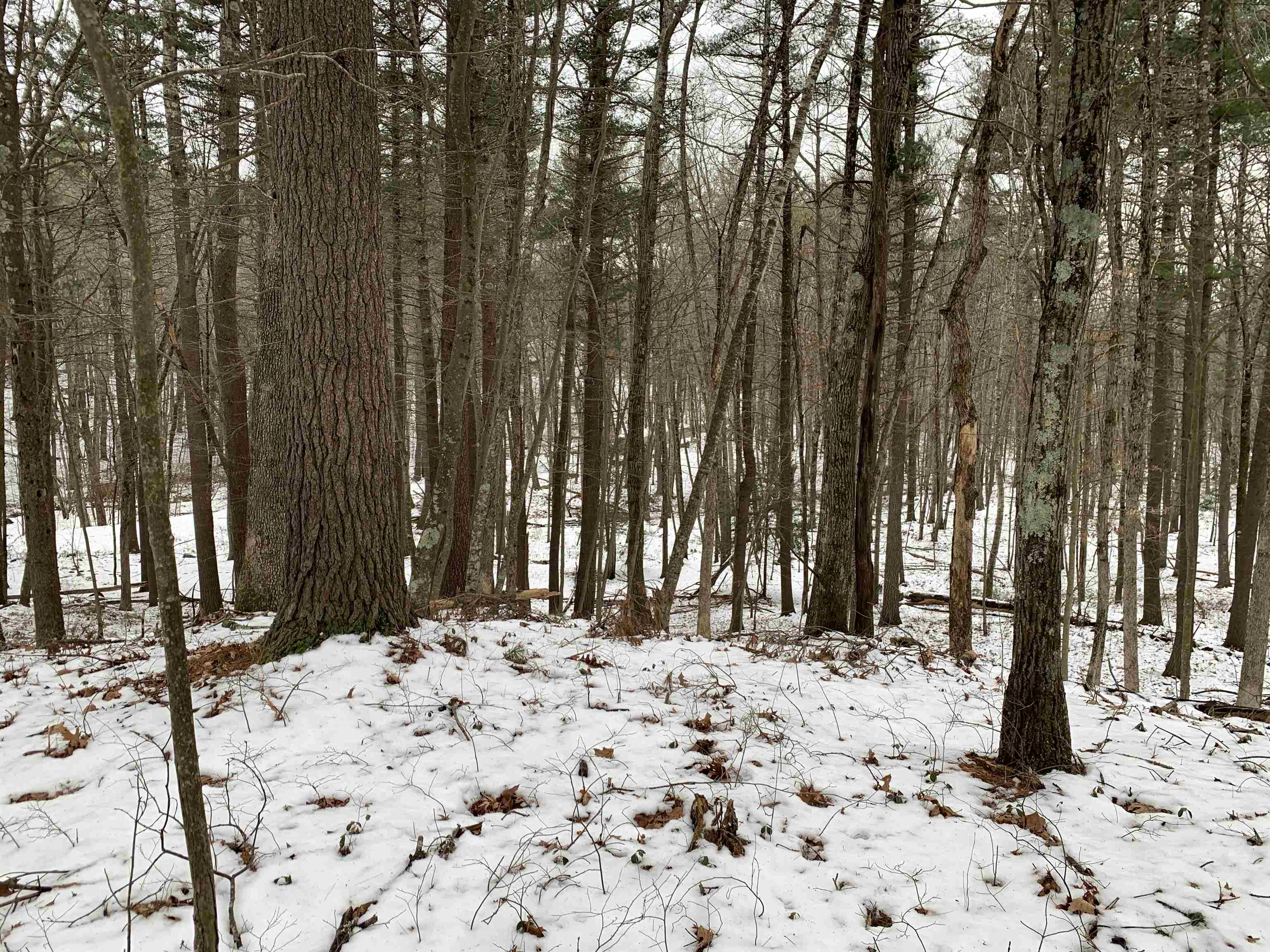 0 Brandy Brow Road Haverhill, MA 01830 - Photo 7 of 8 Gallery Image 7