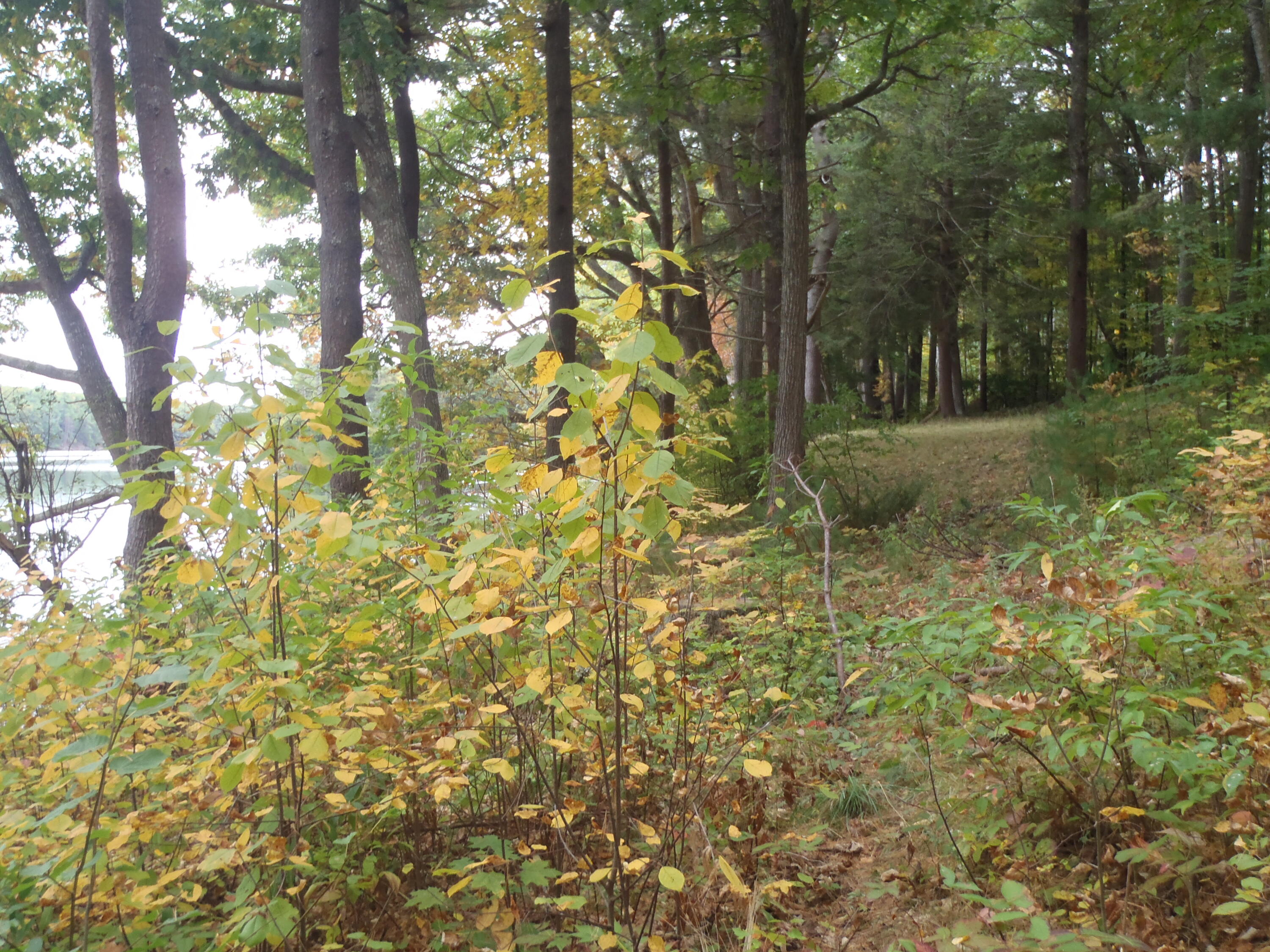 28 Bull Rock Road Brunswick, ME 04011 - Photo 10 of 42 P1010039