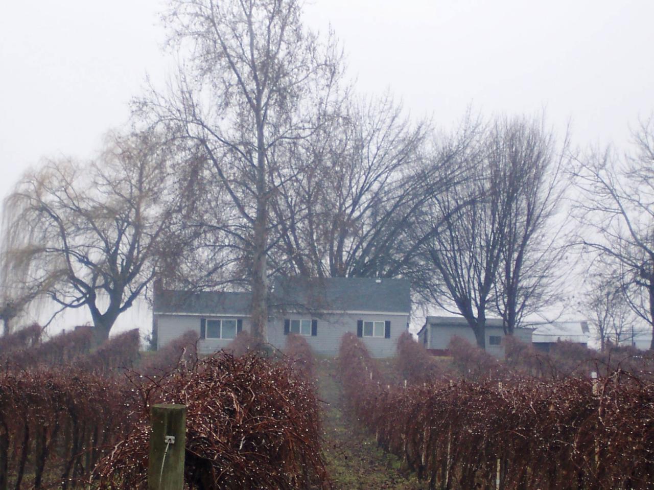 1191 Vance Road Mabton, WA 98935 - Photo 4 of 5 a view of house with yard and trees in the background