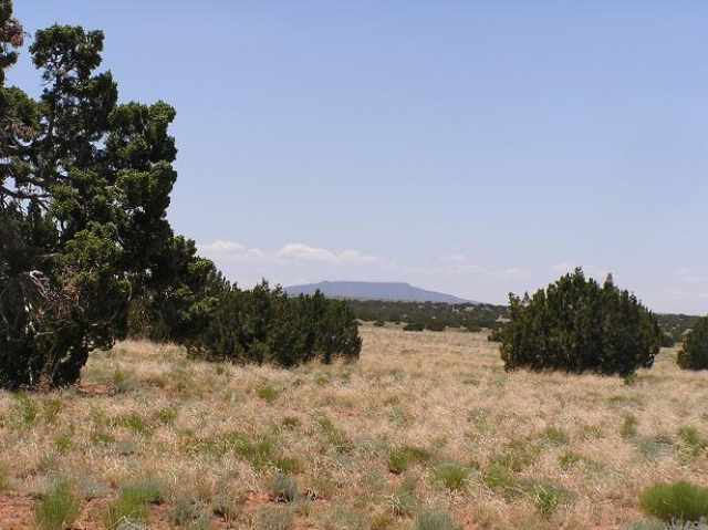 Lot 377 Chevelon Canyon Ranch Heber, AZ 85928 - Photo 1 of 2