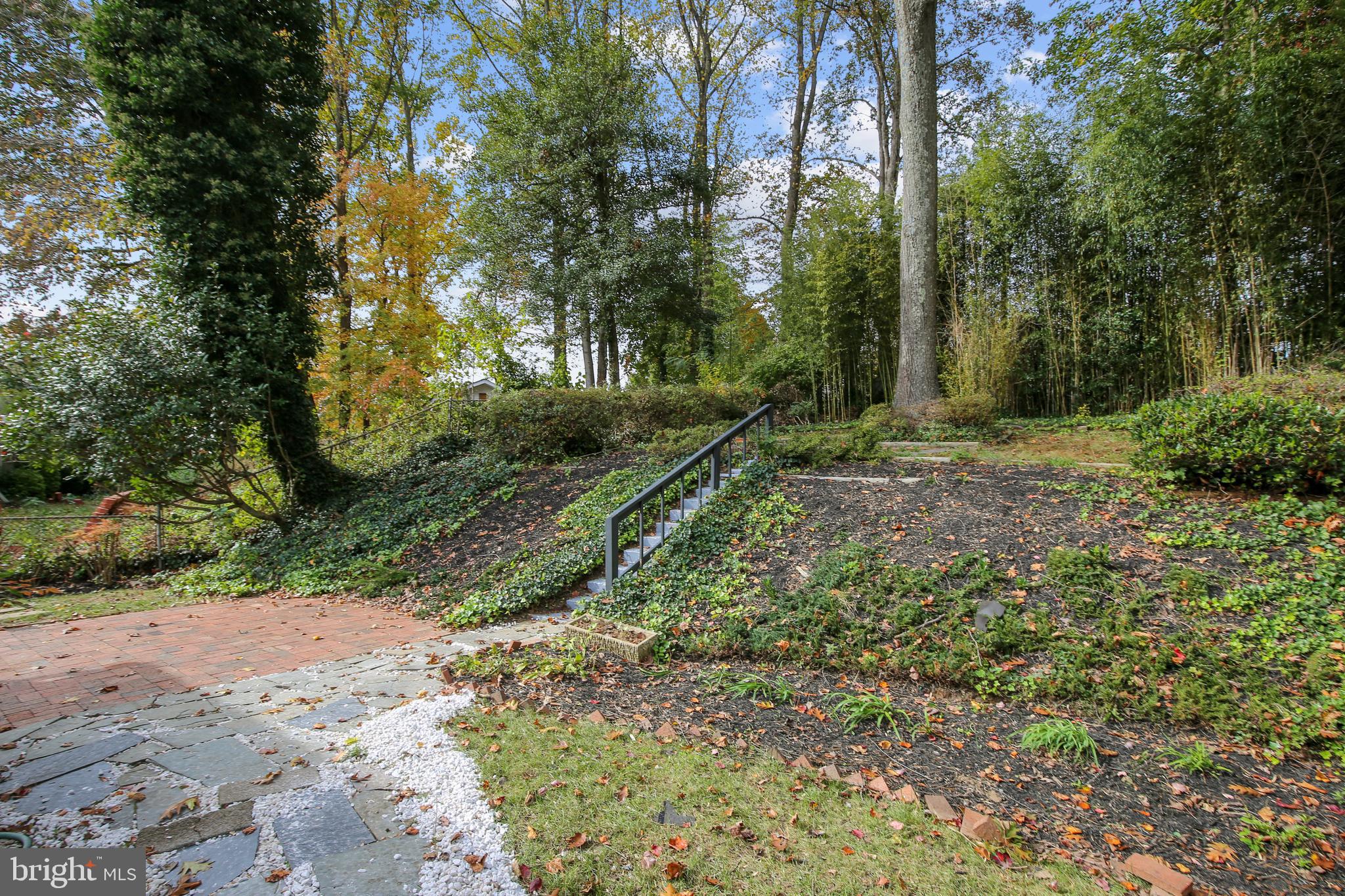 7014 Ashbury Drive Springfield, VA 22152 - Photo 54 of 62