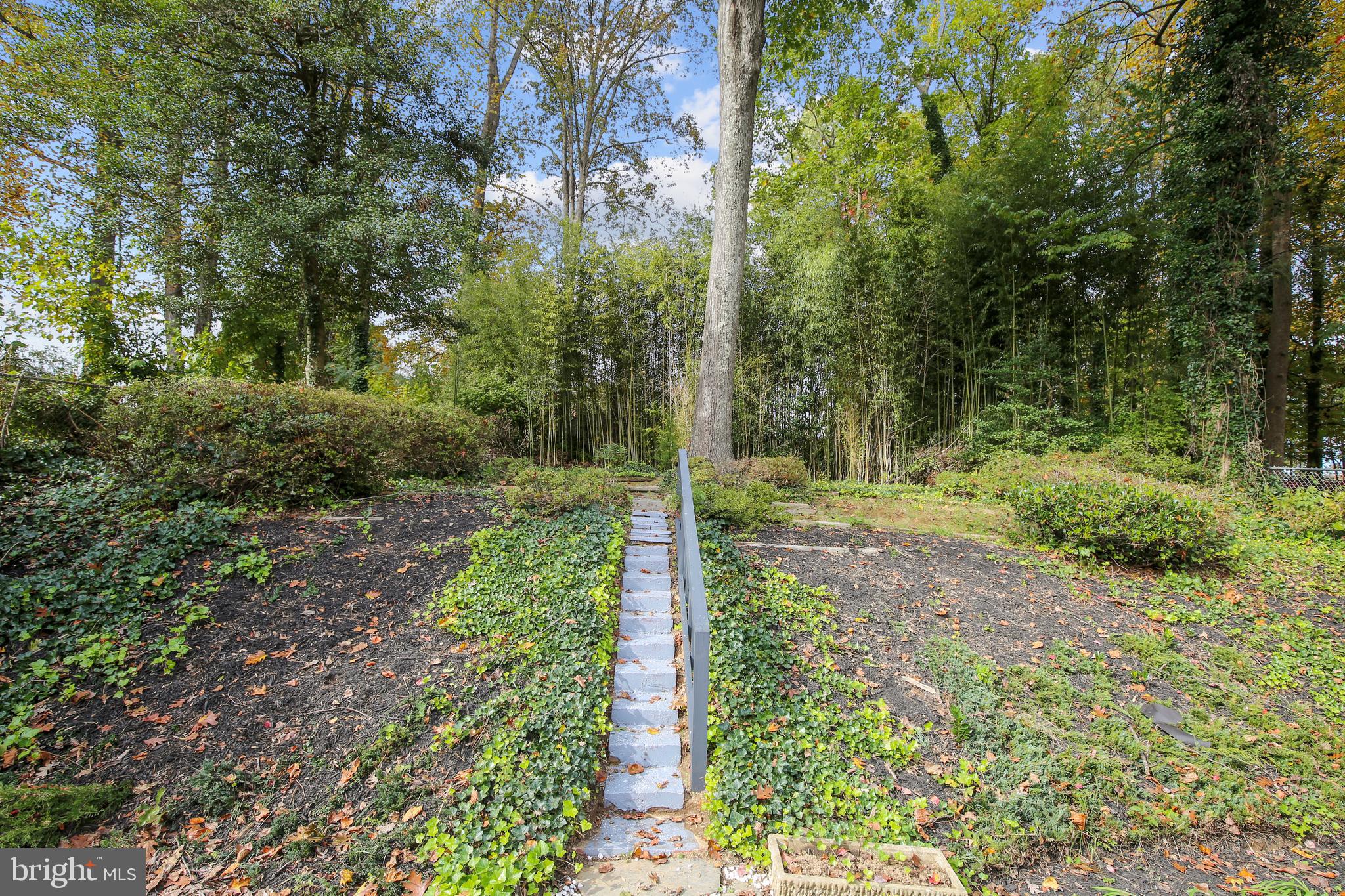 7014 Ashbury Drive Springfield, VA 22152 - Photo 55 of 62