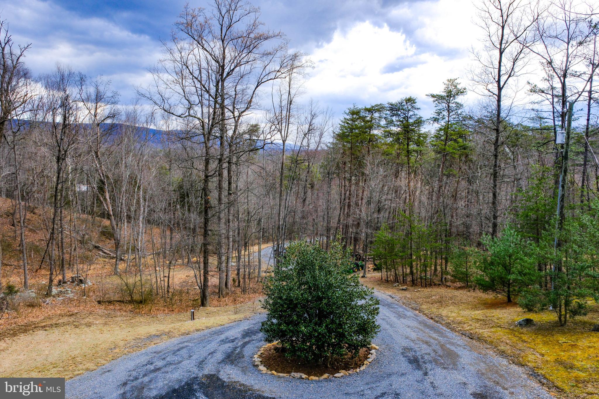 642 Paddys Run Road Star Tannery, VA 22654 - Photo 3 of 79