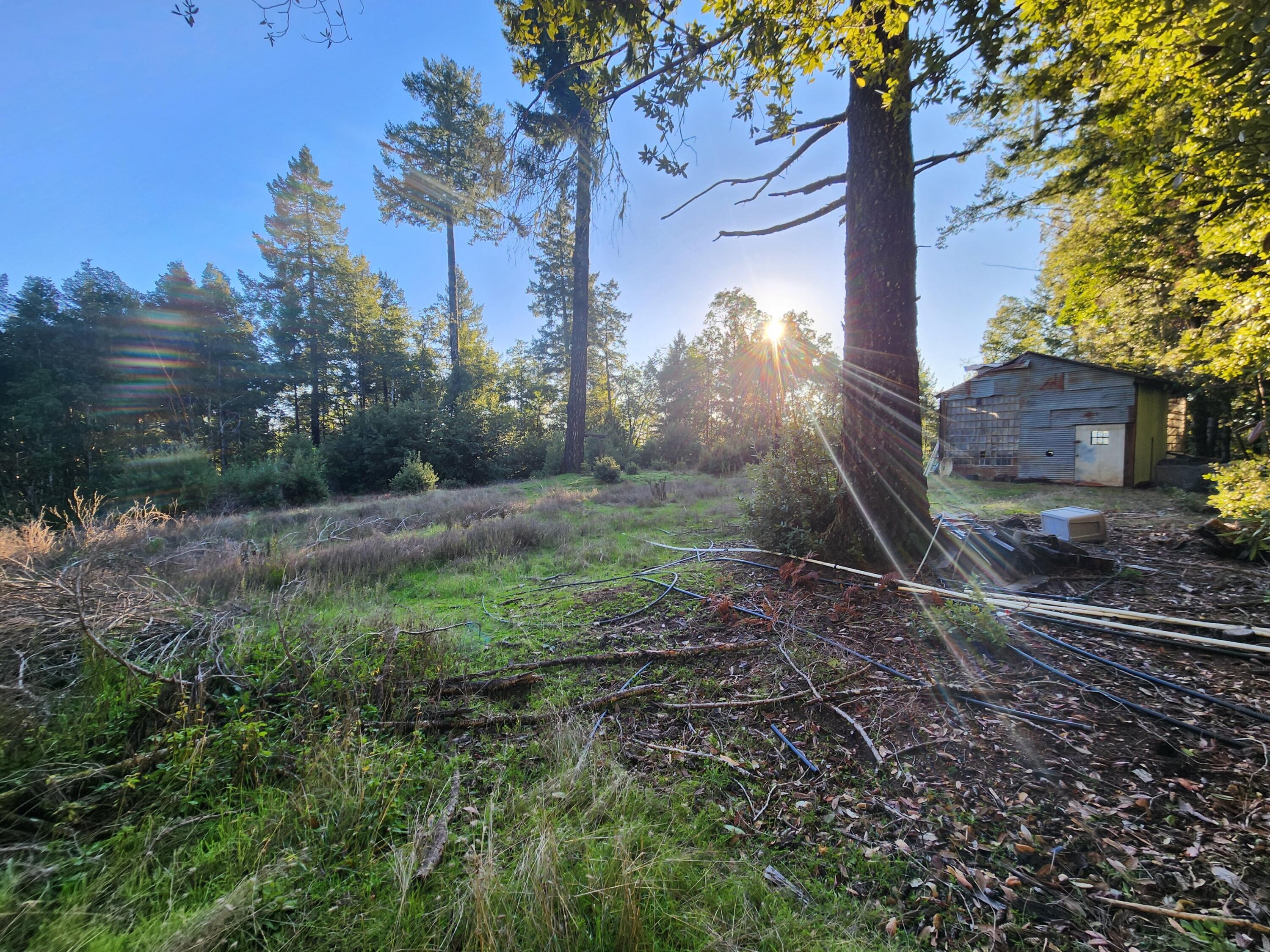 1520 Elk Rdg Road Redway, CA 95560 - Photo 40 of 87 Gallery Image 40