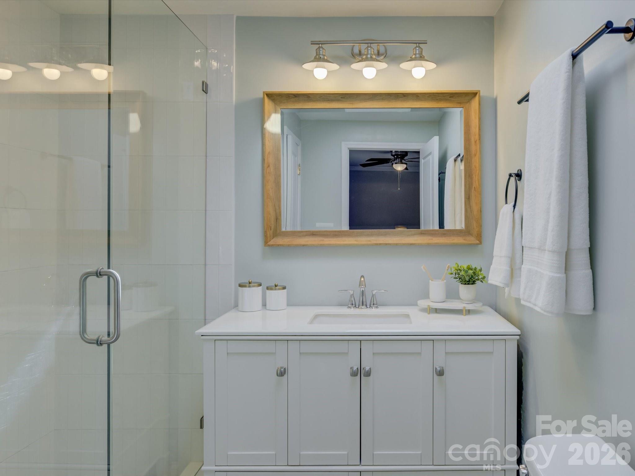 204 West Elliott Street Fort Mill, SC 29715 - Photo 21 of 43 a bathroom with a sink vanity and a mirror