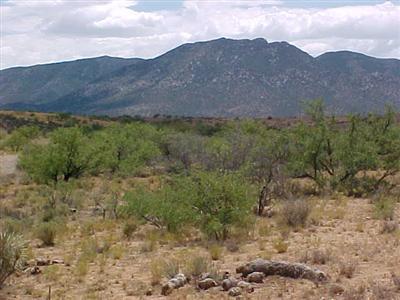 0 South Desert Road Pearce, AZ 85625 - Photo 3 of 3