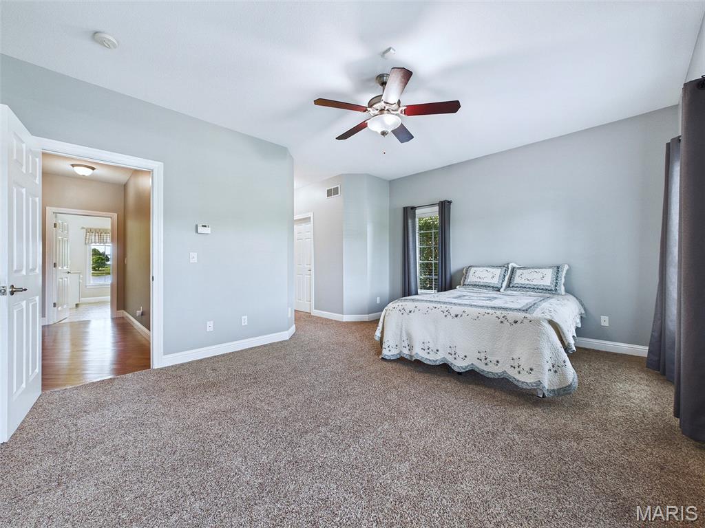 1751 Elizabeth Road Staunton, IL 62088 - Photo 30 of 67