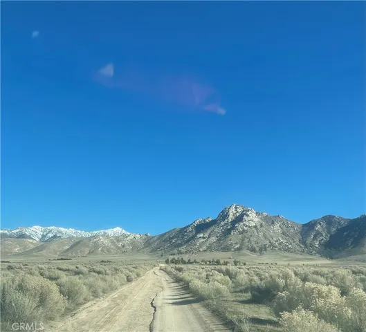a view of a mountain range with trees in the background