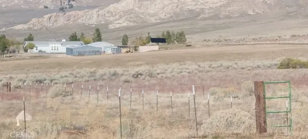 a view of a dry yard with wooden fence