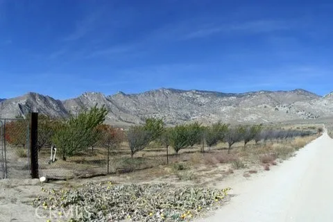 a view of a dry yard with mountains in the background