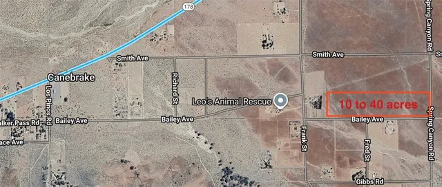 a view of a dry yard