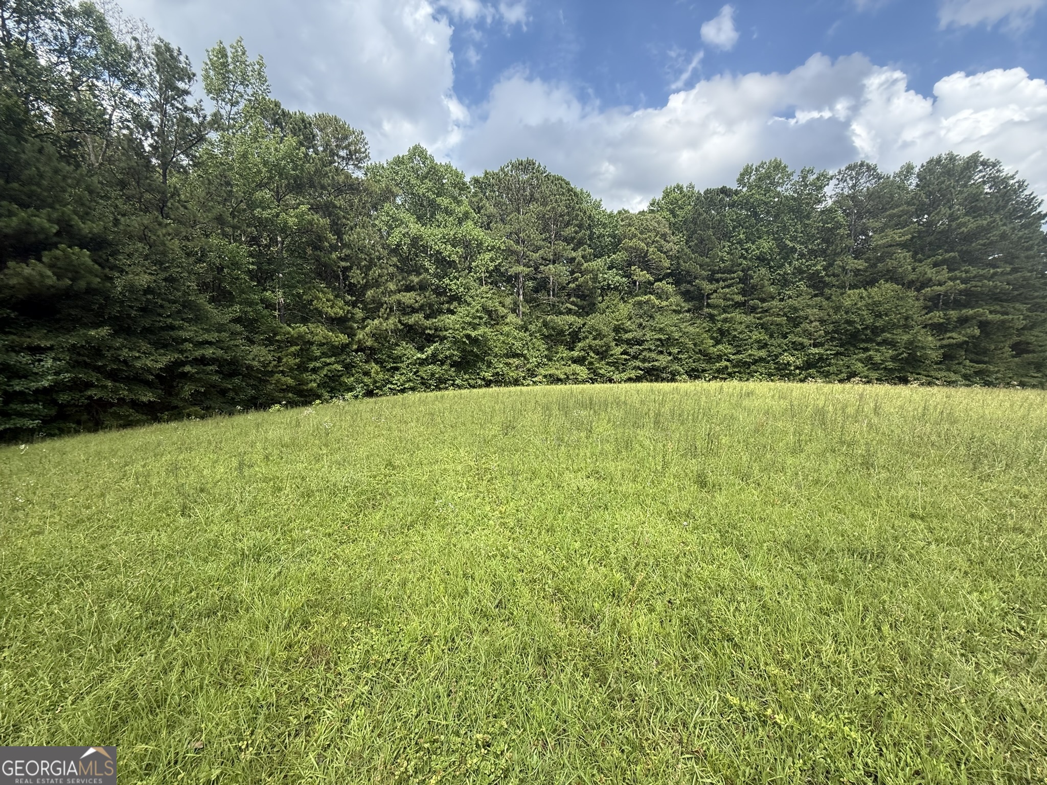 0 Cartbody Road Carrollton, GA 30116 - Photo 7 of 24