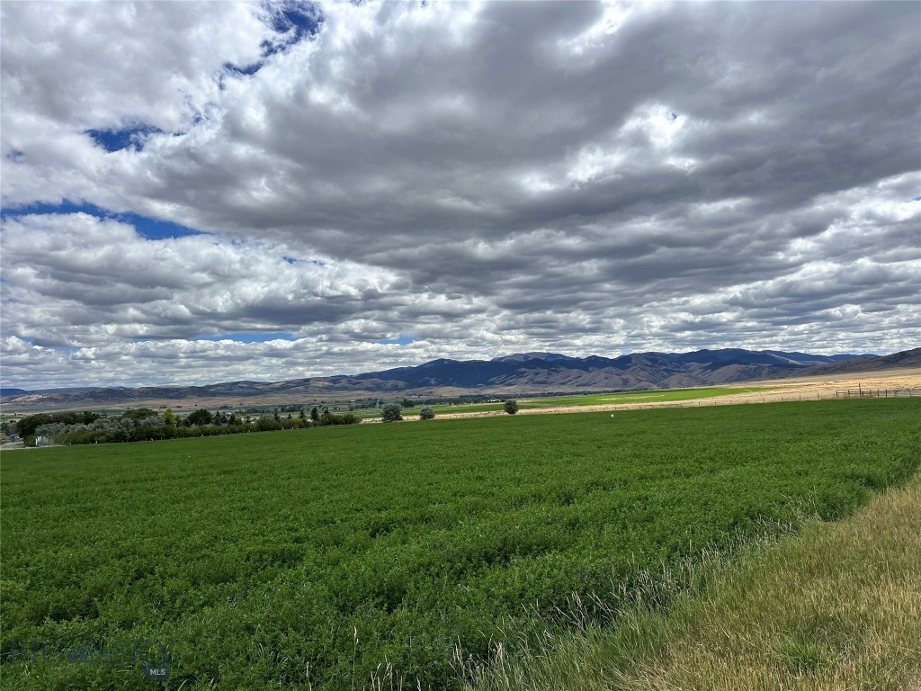 Lot 1 A Spring Canyon Road Alder, MT 59710 - Photo 2 of 30 Gallery Image 2