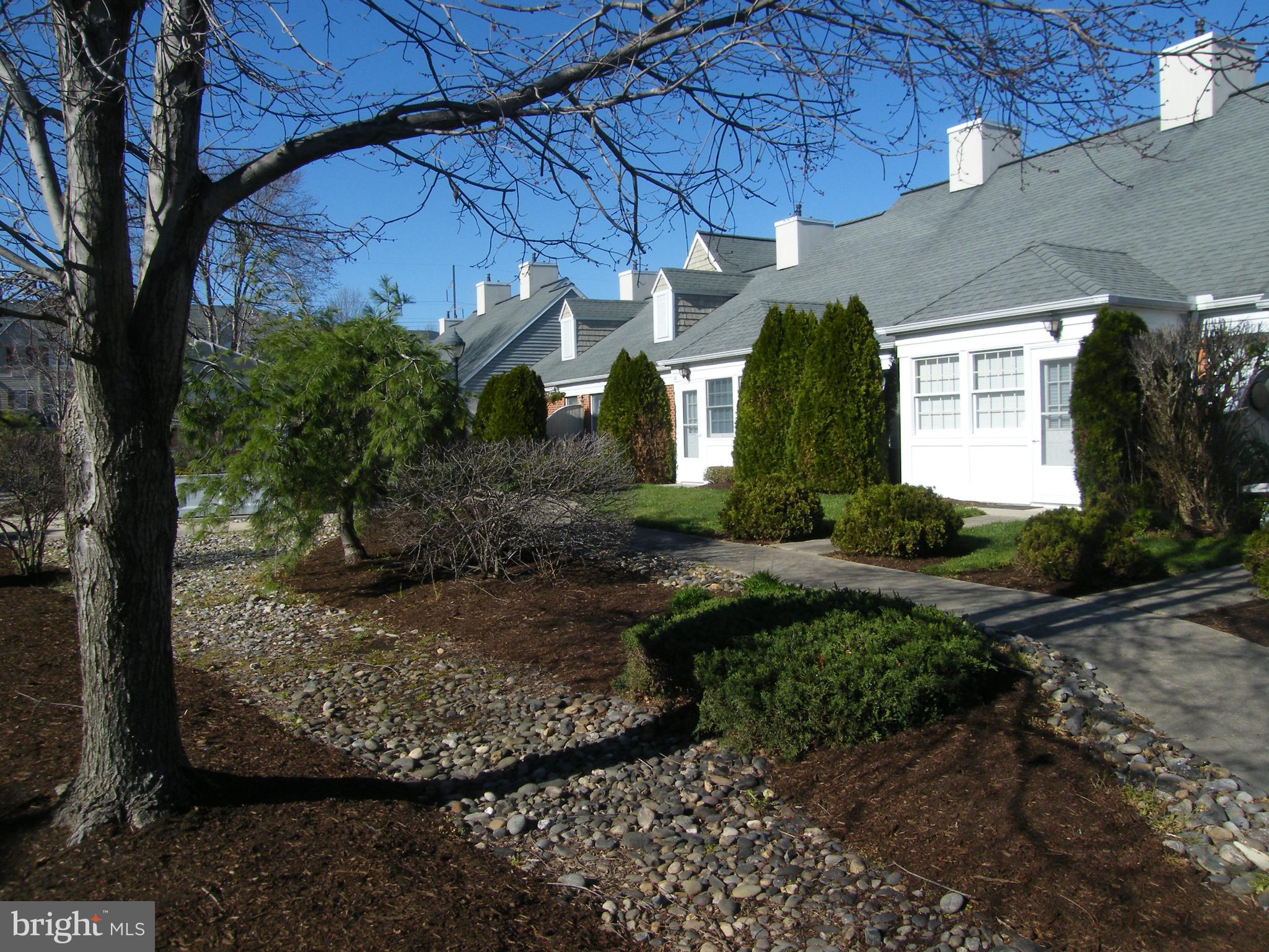 pathway, walking path