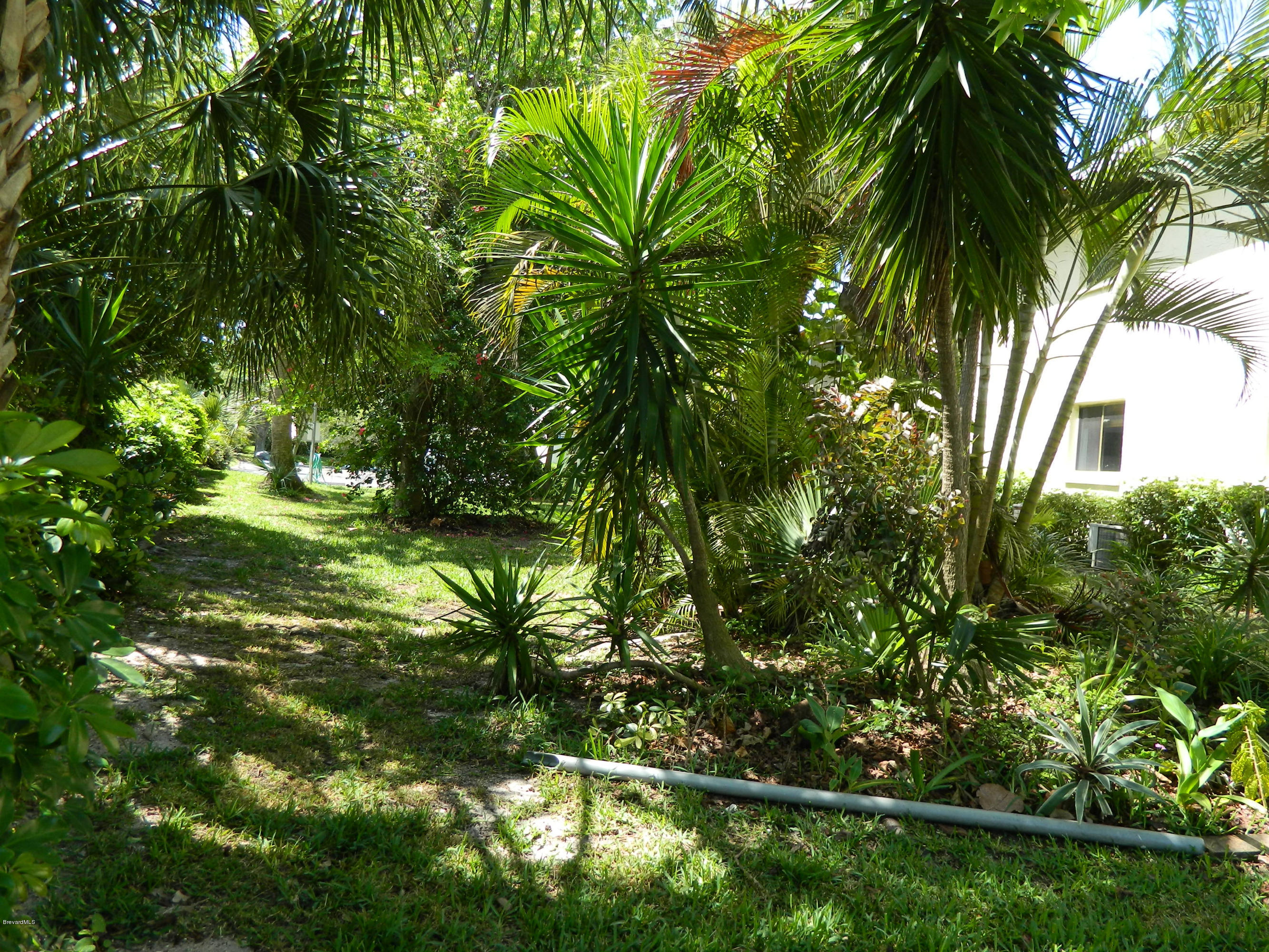 500 Catalina Road, Unit 404 Cocoa Beach, FL 32931 - Photo 19 of 26 grounds6